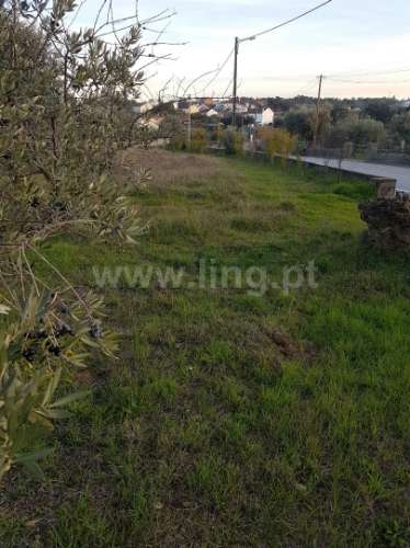 Lote de Terreno nas Benquerenças, Castelo Branco...
