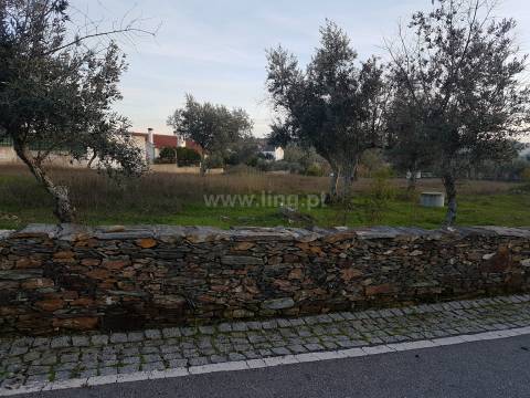 Lote de Terreno nas Benquerenças, Castelo Branco...