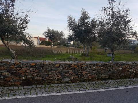 Lote de Terreno nas Benquerenças, Castelo Branco...
