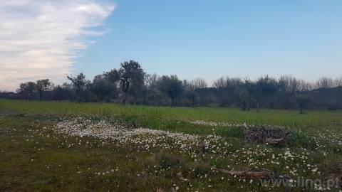 Quinta T2 Venda em Castelo Branco,Castelo Branco