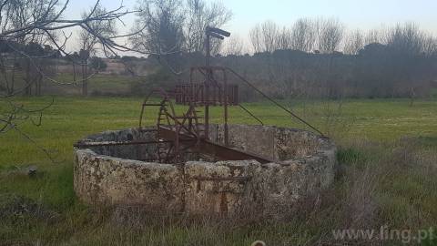 Quinta T2 Venda em Castelo Branco,Castelo Branco