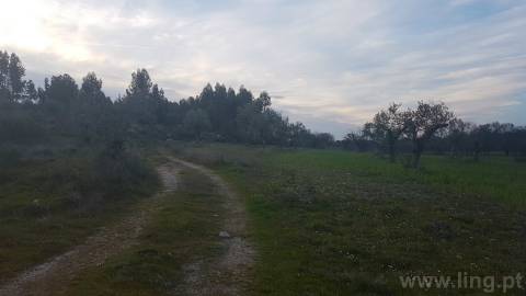 Quinta T2 Venda em Castelo Branco,Castelo Branco