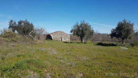 Quinta T2 Venda em Castelo Branco,Castelo Branco