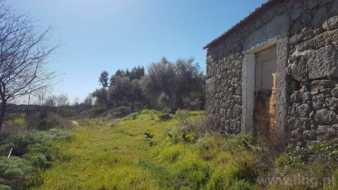 Quinta T2 Venda em Castelo Branco,Castelo Branco