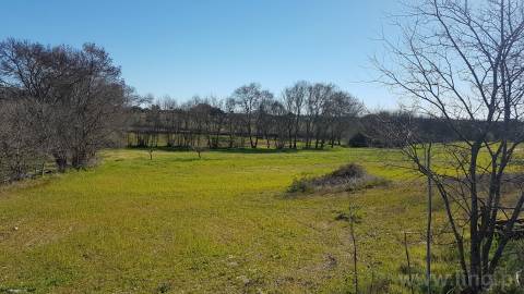 Quinta T2 Venda em Castelo Branco,Castelo Branco