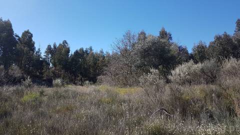 Quinta T2 Venda em Castelo Branco,Castelo Branco