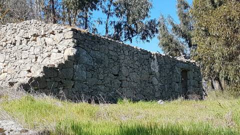 Quinta T2 Venda em Castelo Branco,Castelo Branco