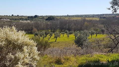 Quinta T2 Venda em Castelo Branco,Castelo Branco