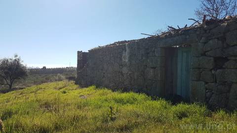 Quinta T2 Venda em Castelo Branco,Castelo Branco