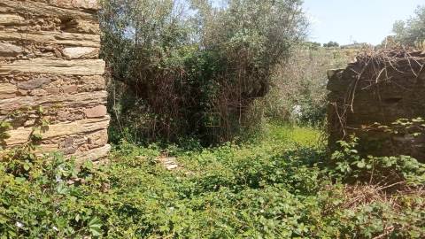 Moradia em em pedra nos Cebolais de Cima - Para remodelar...