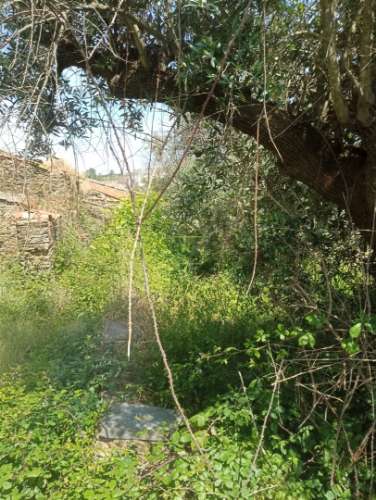 Moradia em em pedra nos Cebolais de Cima - Para remodelar...