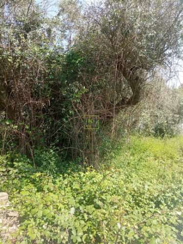 Moradia em em pedra nos Cebolais de Cima - Para remodelar...