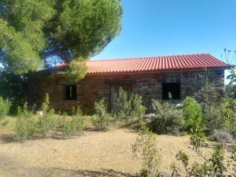 Quinta com casa em xisto a 5 minutos de Castelo Branco.