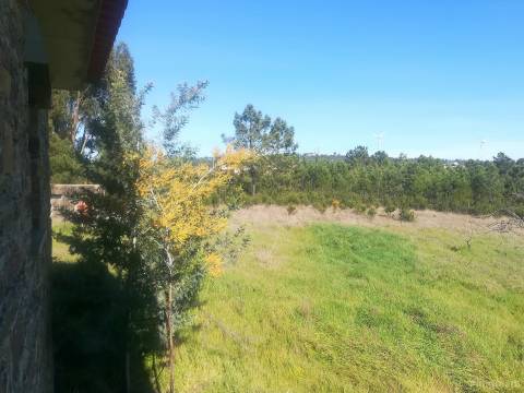 Quinta com casa em xisto a 5 minutos de Castelo Branco.