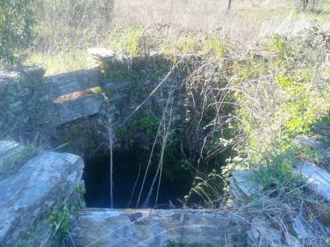 Quinta com casa em xisto a 5 minutos de Castelo Branco.