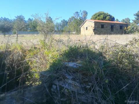 Quinta com casa em xisto a 5 minutos de Castelo Branco.