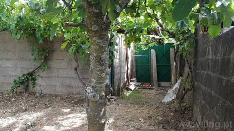 Moradia em Banda T5 em Monforte da Beira, excelente para projeto de alojamento local