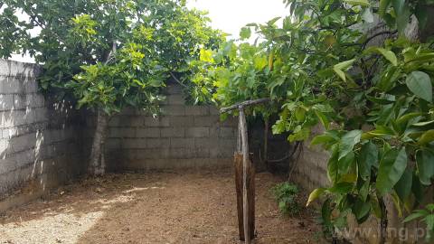 Moradia em Banda T5 em Monforte da Beira, excelente para projeto de alojamento local