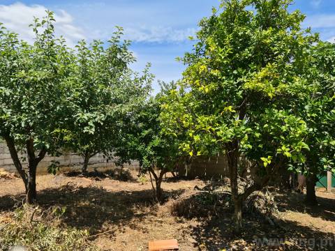 Moradia em Banda T5 em Monforte da Beira, excelente para projeto de alojamento local