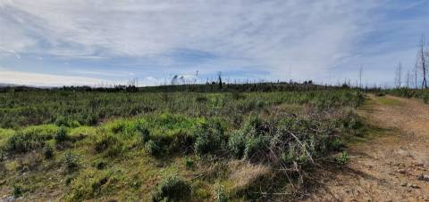 Quinta T0 Venda em Freixial e Juncal do Campo,Castelo Branco