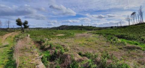 Quinta T0 Venda em Freixial e Juncal do Campo,Castelo Branco