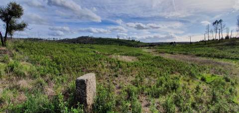 Quinta T0 Venda em Freixial e Juncal do Campo,Castelo Branco