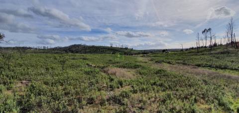 Quinta T0 Venda em Freixial e Juncal do Campo,Castelo Branco