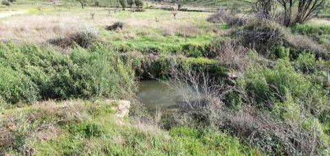 Quinta T0 Venda em Freixial e Juncal do Campo,Castelo Branco