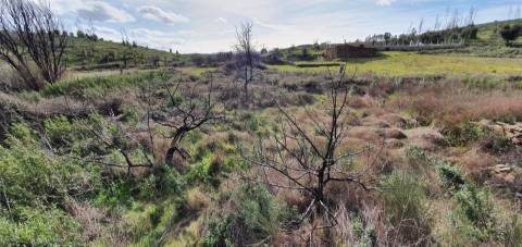 Quinta T0 Venda em Freixial e Juncal do Campo,Castelo Branco
