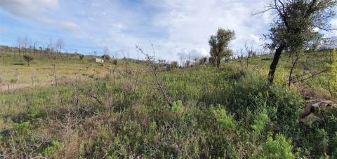 Quinta T0 Venda em Freixial e Juncal do Campo,Castelo Branco
