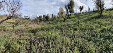 Quinta T0 Venda em Freixial e Juncal do Campo,Castelo Branco