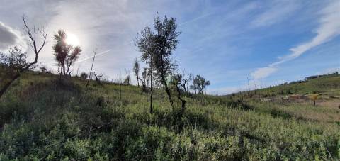 Quinta T0 Venda em Freixial e Juncal do Campo,Castelo Branco