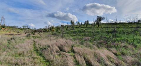 Quinta T0 Venda em Freixial e Juncal do Campo,Castelo Branco