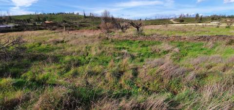 Quinta T0 Venda em Freixial e Juncal do Campo,Castelo Branco