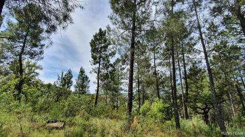 Quinta  Venda em Freixial e Juncal do Campo,Castelo Branco