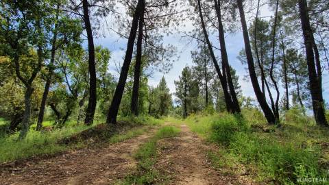 Quinta  Venda em Freixial e Juncal do Campo,Castelo Branco