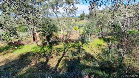 Quinta  Venda em Freixial e Juncal do Campo,Castelo Branco