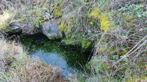 Quinta  Venda em Freixial e Juncal do Campo,Castelo Branco