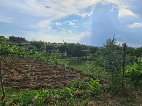 Excelente Quinta com 7000m2, Ladoeiro, Idanha-a-nova, Castelo Branco