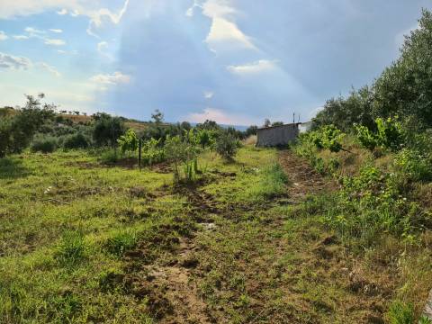 Excelente Quinta com 7000m2, Ladoeiro, Idanha-a-nova, Castelo Branco