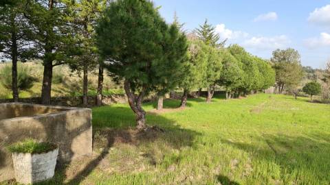 Quinta  Venda em Alcains,Castelo Branco