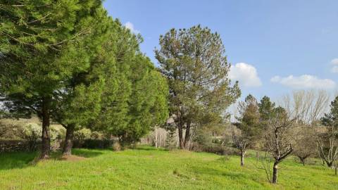 Quinta  Venda em Alcains,Castelo Branco