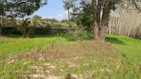Quinta  Venda em Alcains,Castelo Branco