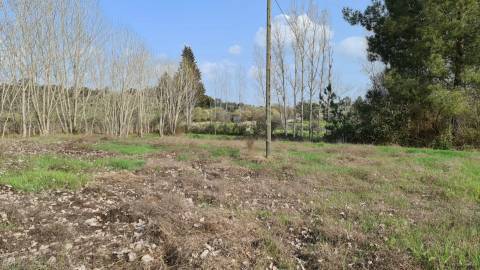Quinta  Venda em Alcains,Castelo Branco