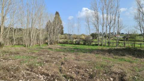 Quinta  Venda em Alcains,Castelo Branco