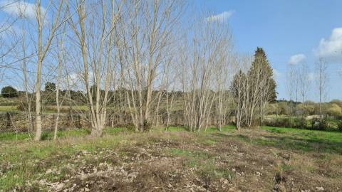 Quinta  Venda em Alcains,Castelo Branco