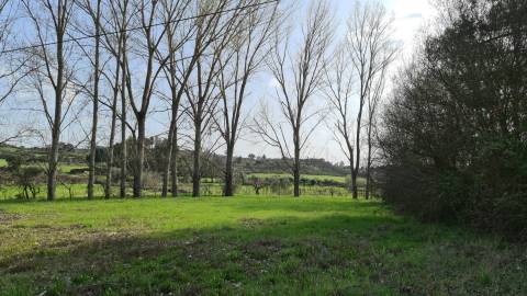 Quinta  Venda em Alcains,Castelo Branco