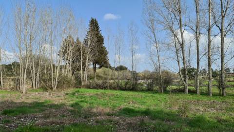 Quinta  Venda em Alcains,Castelo Branco