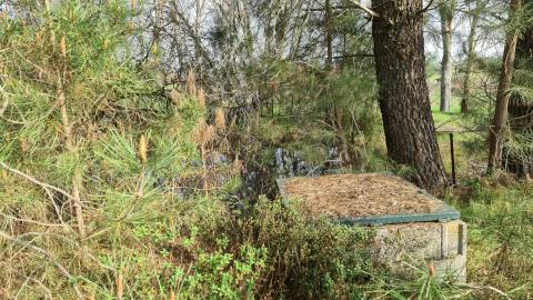 Quinta  Venda em Alcains,Castelo Branco