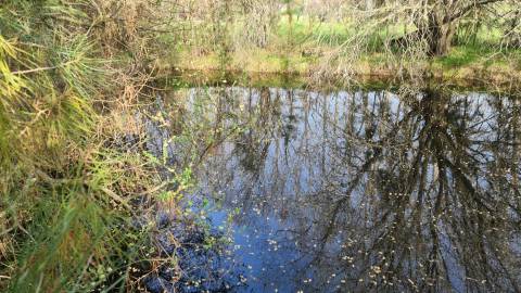Quinta  Venda em Alcains,Castelo Branco